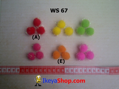 WS 67  large2